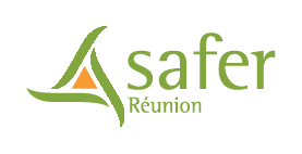 logo_safer_reunion